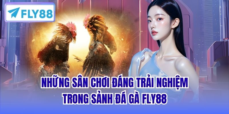 Những sân chơi đáng trải nghiệm trong sảnh Đá Gà FLY88