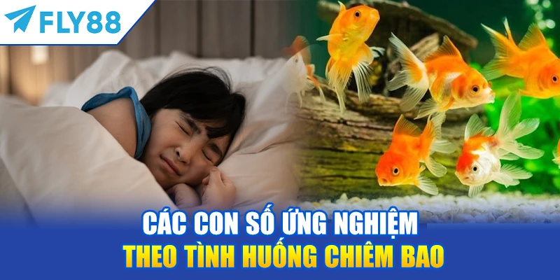 Các Con Số Ứng Nghiệm Theo Tình Huống Chiêm Bao
