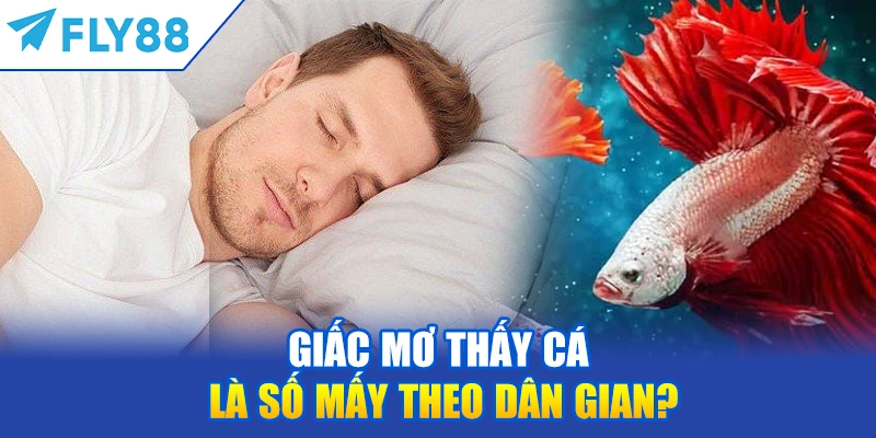 Giấc Mơ Thấy Cá Là Số Mấy Theo Dân Gian?