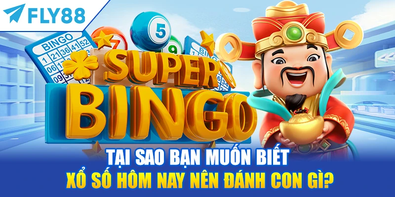 Tại Sao Bạn Muốn Biết Xổ Số Hôm Nay Nên Đánh Con Gì?